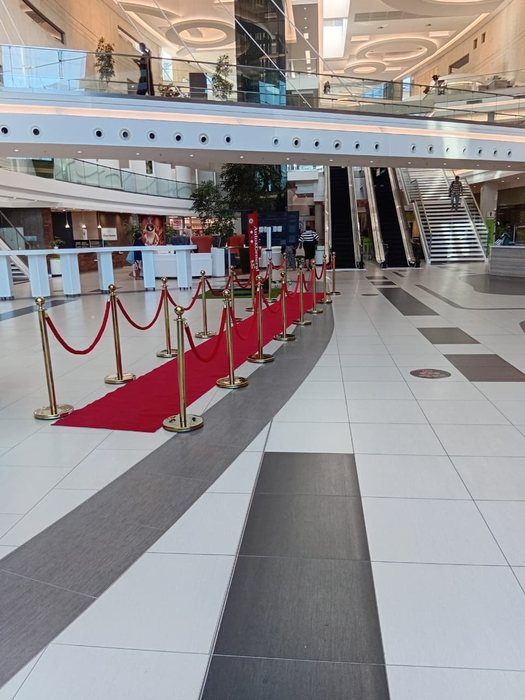 Stanchions / ropes